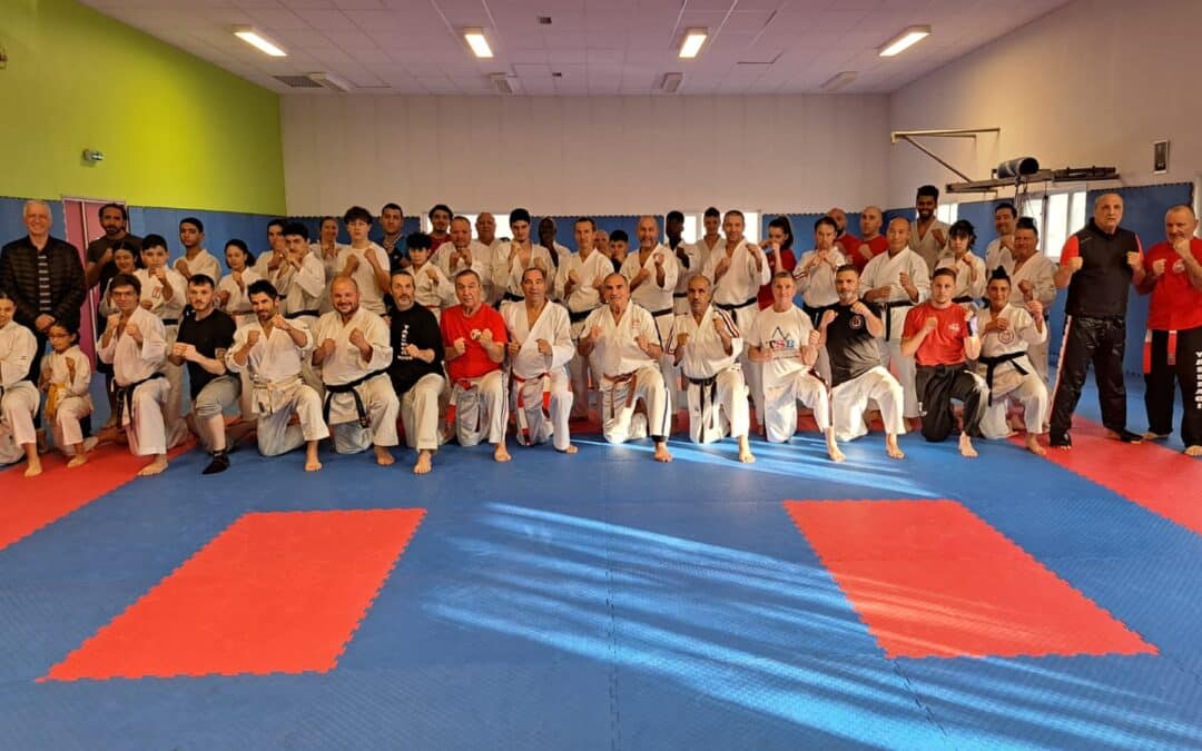 Stage de Karaté contact avec Dominique Valéra le 20/01/2024