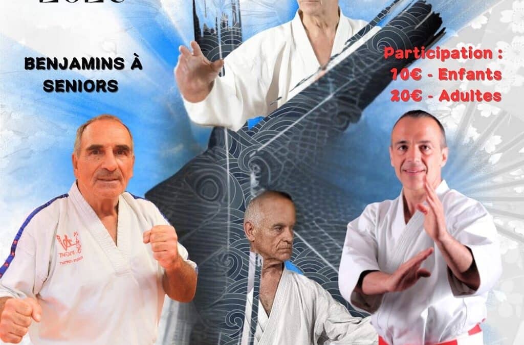 Masterclass de karaté avec 4 experts français